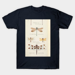 Dragonfly insect T-Shirt